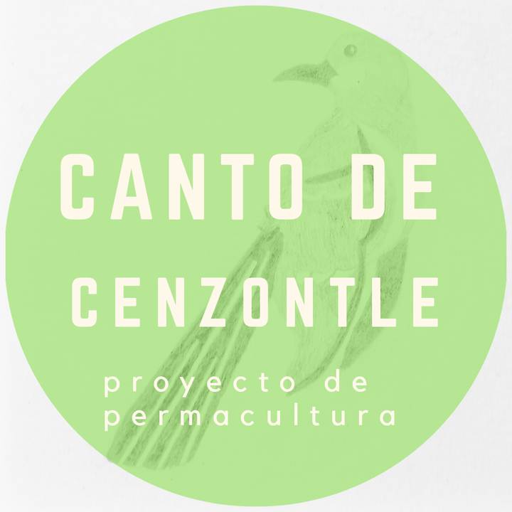 CantoDeCenzontle