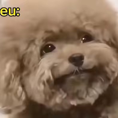 🤣meu pau de amar🫂