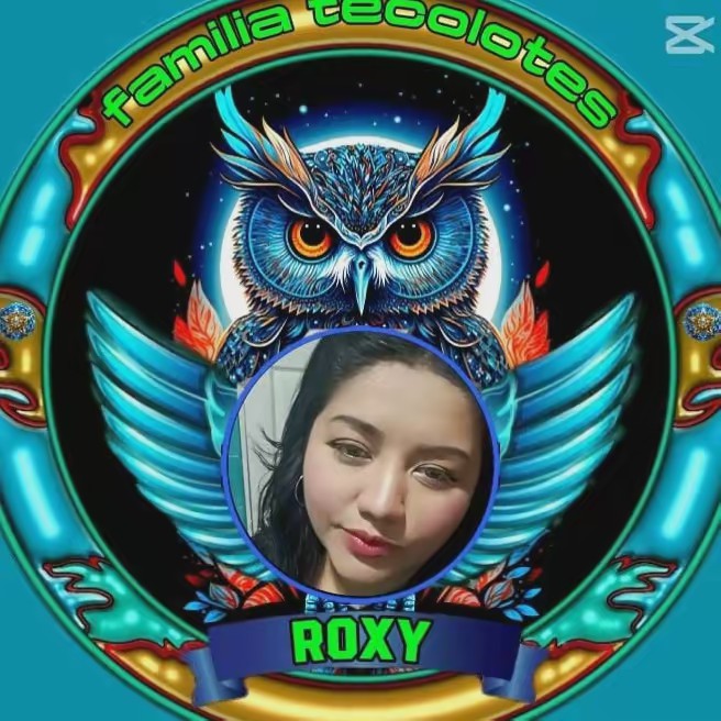 🦉🌙🦉ⴽ🅞χყ🇳🇮🌴🌹👼💚💜