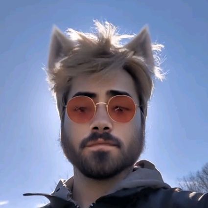 SigmaFoxKing🦊👑