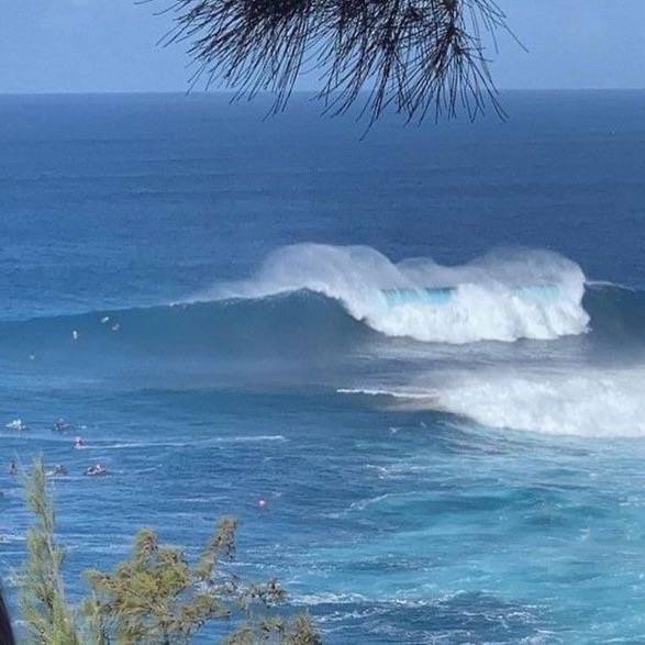🧡🏖️  ｌｕČㄚ 🌊🐚
