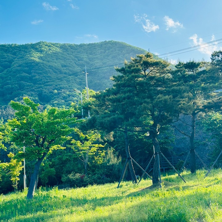 สตอรี่_ความรู้สึก🍀