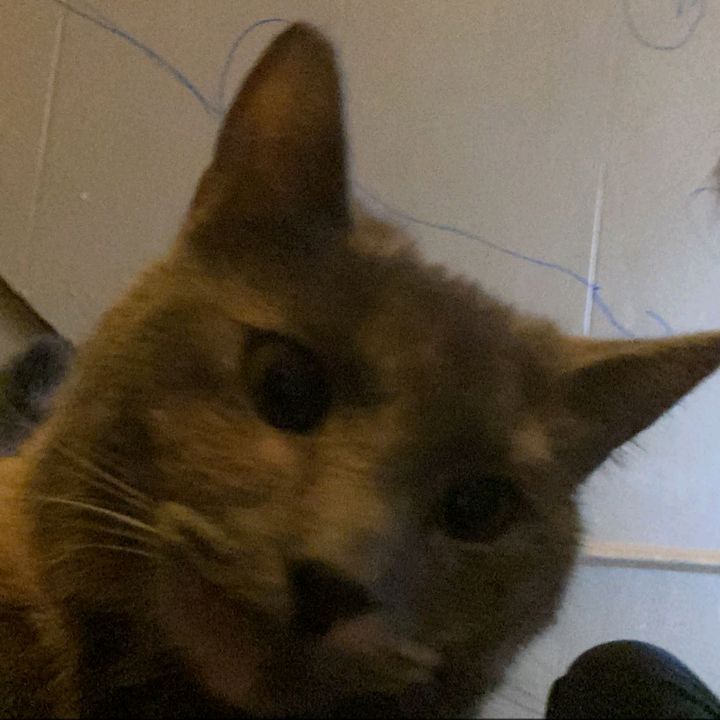 ur fav cracker 🤘🏽