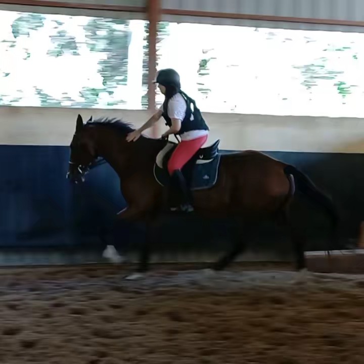 ❤️‍🩹❤️‍🩹