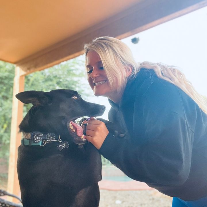 Paw Promise Animal Rescue