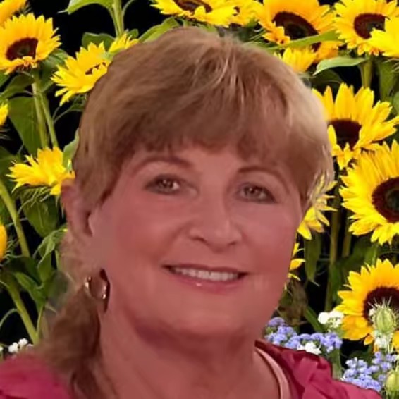 Luna & Holly Adventures