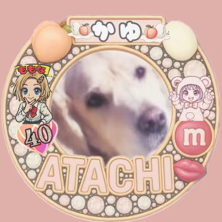 🥚🍑一栗🦭🍑🥚