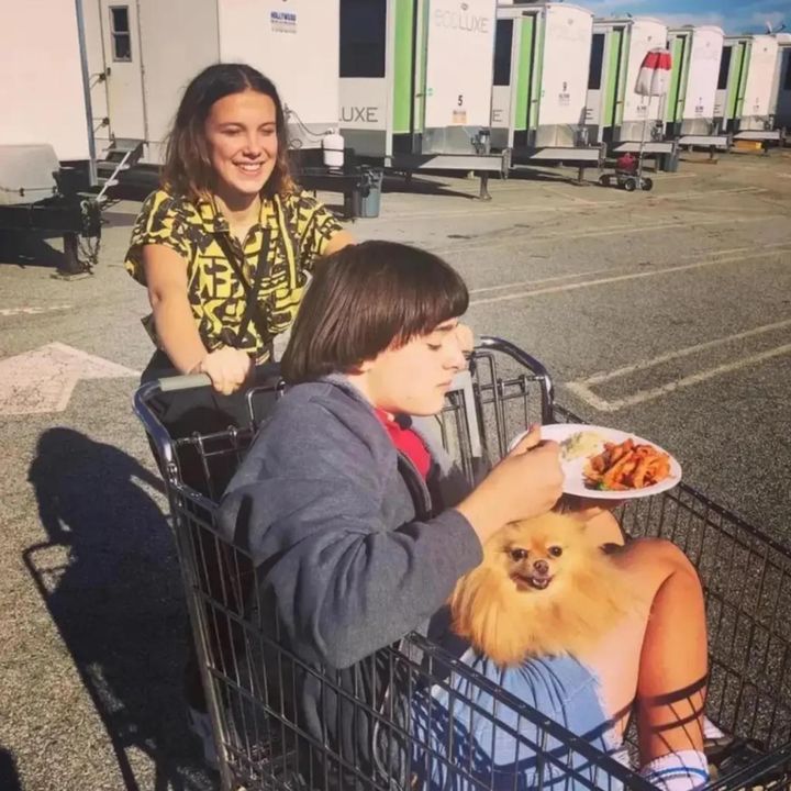 I have 222 El’s thx love y’a