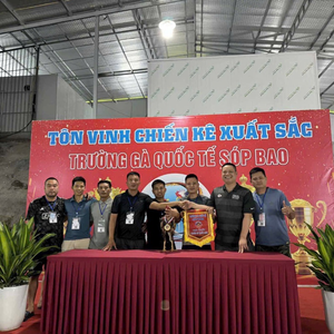 Bùi Đạt Hà Nội 1