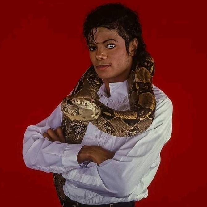 ➳🫀•𐌑𝗶cんǻᶓ𝓁•💋°᭄☆