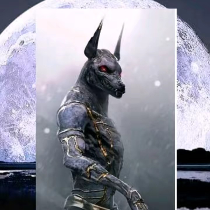 🕊🖤qI Anubis Ip 🕊🖤