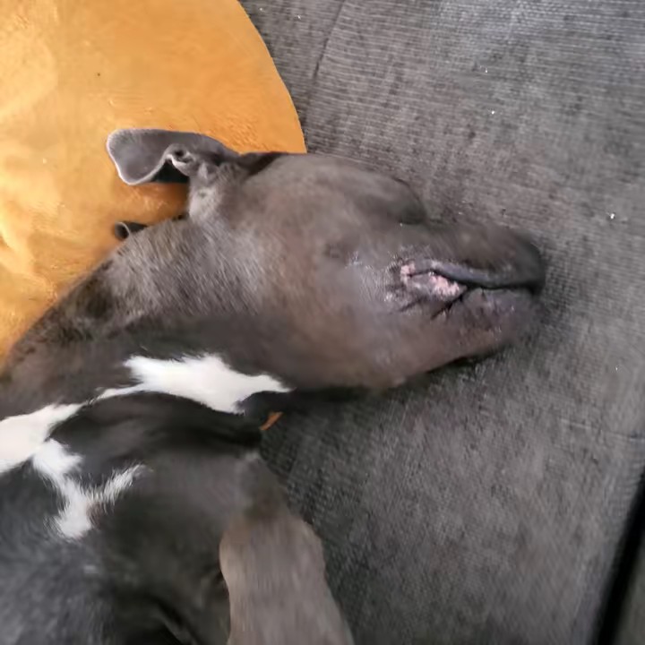 Miles_connect_u_to_20k_friends