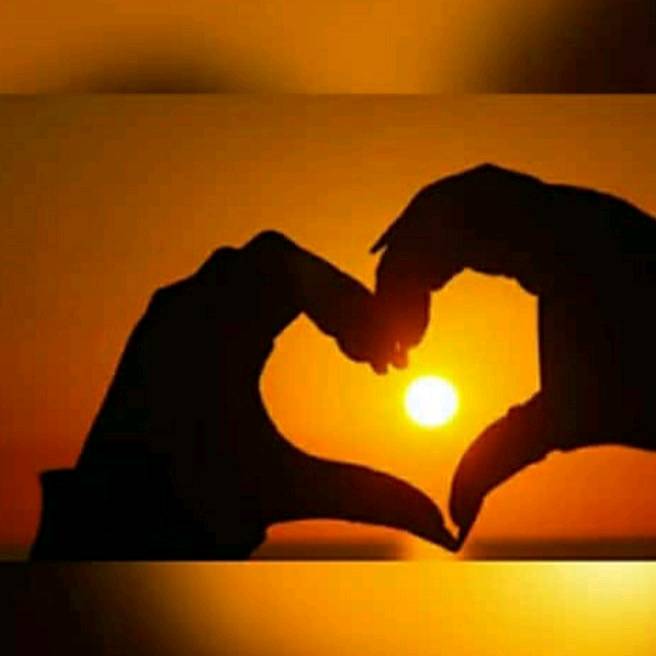 user9182992226711  Pedro Barbo