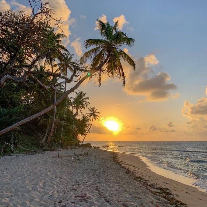 ᥎ׁᝯׁ꯱ׁׅ֒. - 🤍🏝️