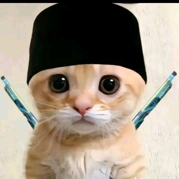 Seblak Prasmanan Dapoer Imoed