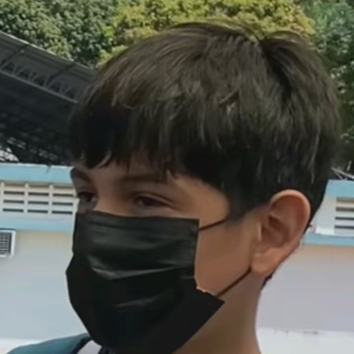 Hammett 🌹🐱🌹