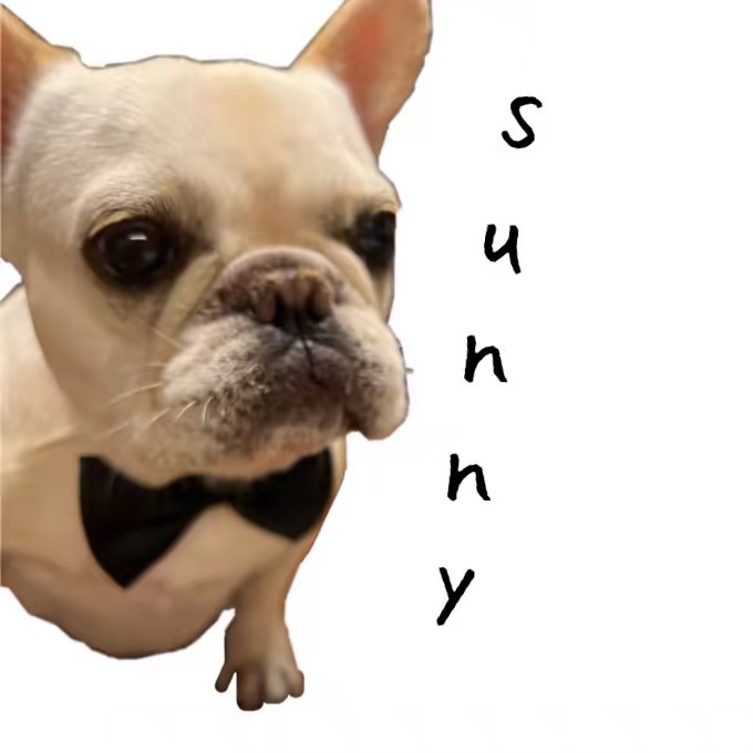 sunny