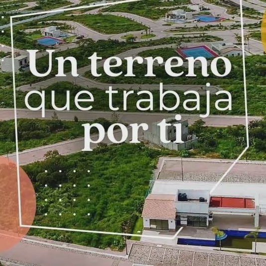 eldinerosicreceenlosarboles