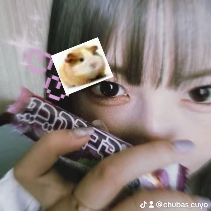 ~❀★🐹Chubas🐹★✿~