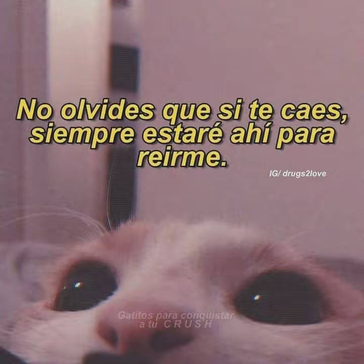 ꧁彡★E D I T S★彡꧂