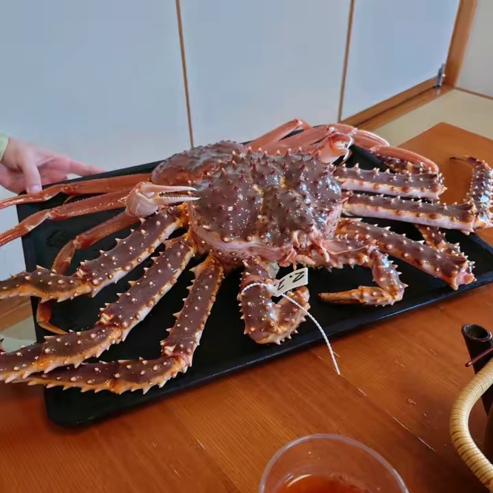 カニのけんちゃん