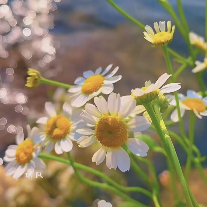 โปรดรีวิว