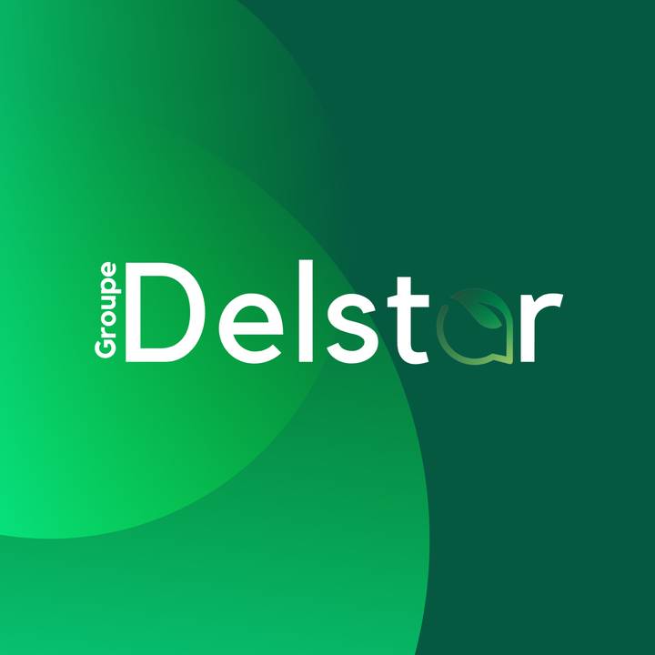 Seb Groupe Delstar