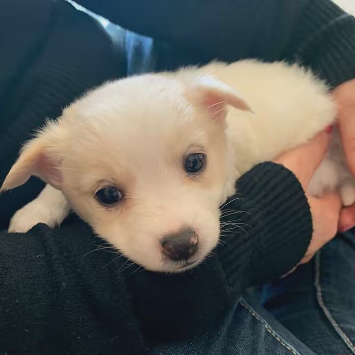 Teresa lucca 💖🤗