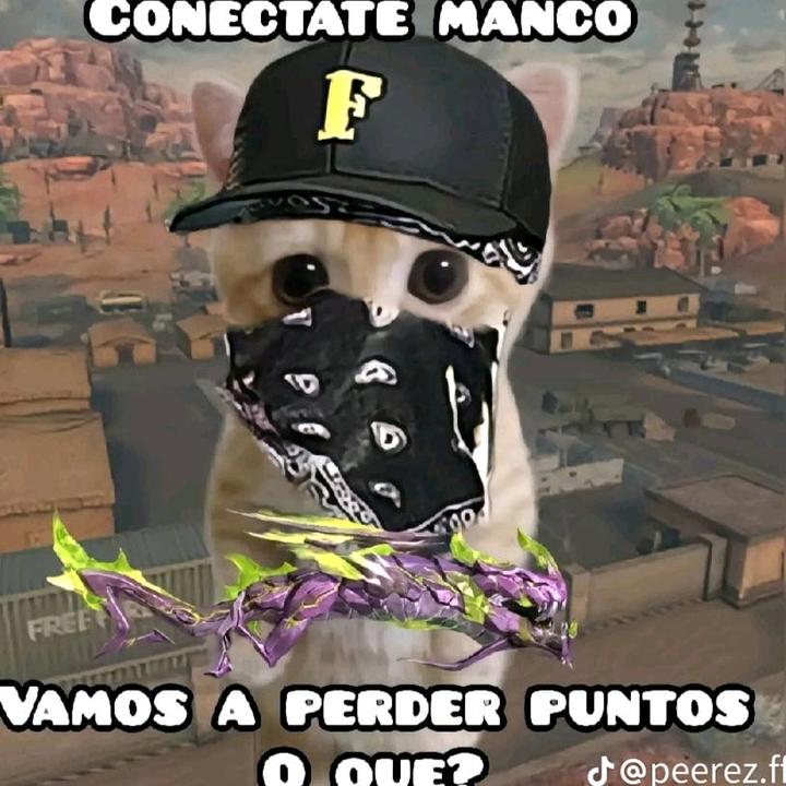 ✞ⒸⓇⒶⓈⒽ╰‿╯