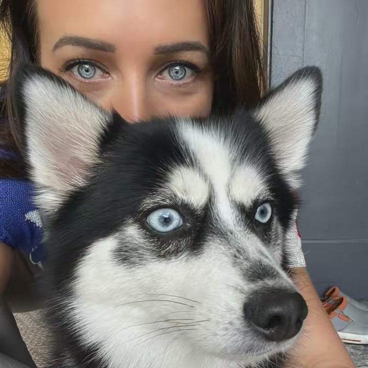 ℂ𝕙𝕚𝕔𝕜𝕖𝕟𝔹𝕠𝕩𝔽𝕠𝕩