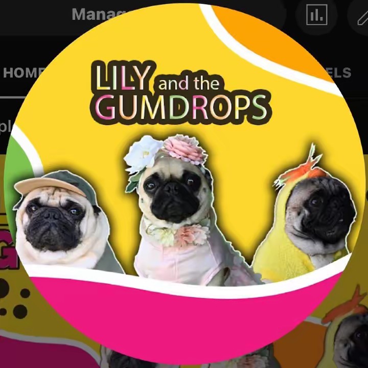 Lily and the Gumdrops