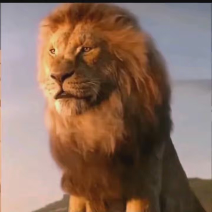 LEÃO 🦁 ♌️ 🦁 ♌️ 🦁 ♌️ 🦁 ♌️