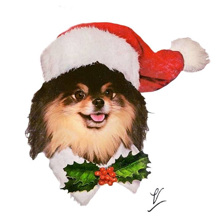 𝑠𝑡𝑟𝑎𝑤𝑏𝑒𝑟𝑟𝑦 ⟭⟬