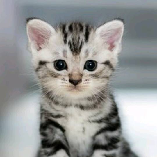 🚓agent Roan🚓🌊🤍