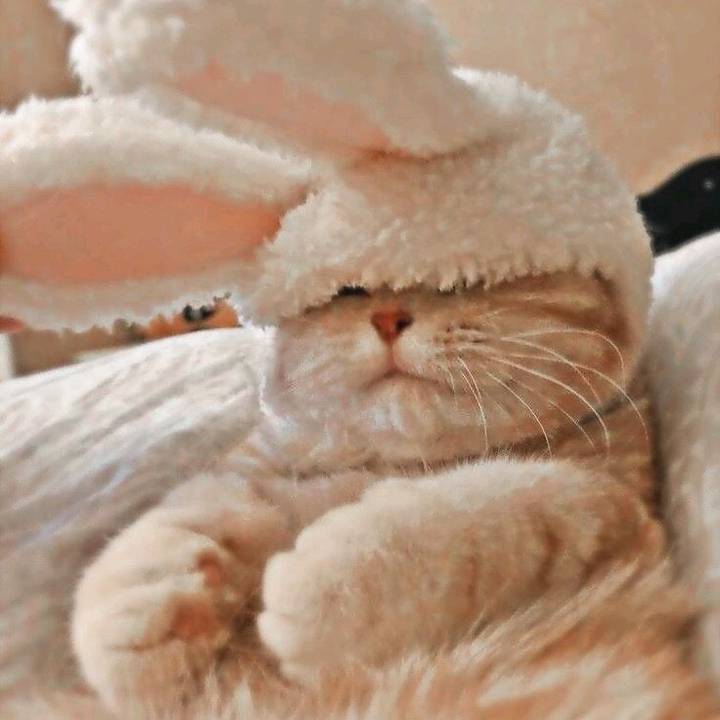 ✰𝚌𝚘𝚌𝚘.𝚔𝚒𝚜𝚜✰