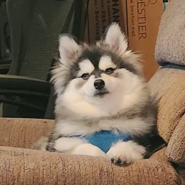 Jes216✨️💙♾️