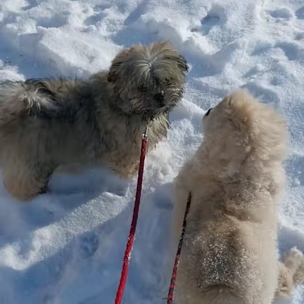 claudia😍❤️❤️‍🩹