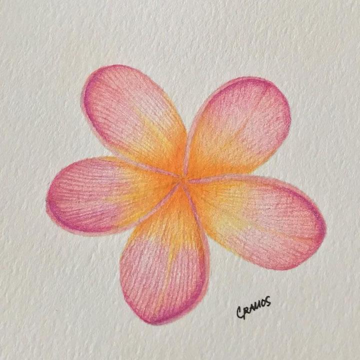 Colouring 🫶🏼🫶🏼