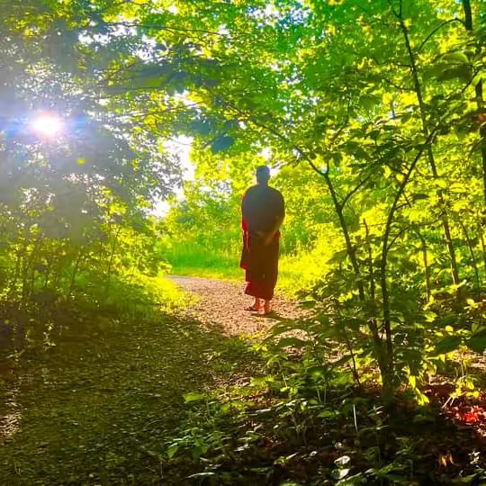 ☸ကိုရင်ကြီးပဏ္ဍိတ☸