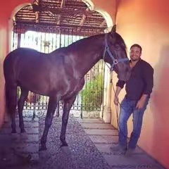 Humberto Martinez Oc