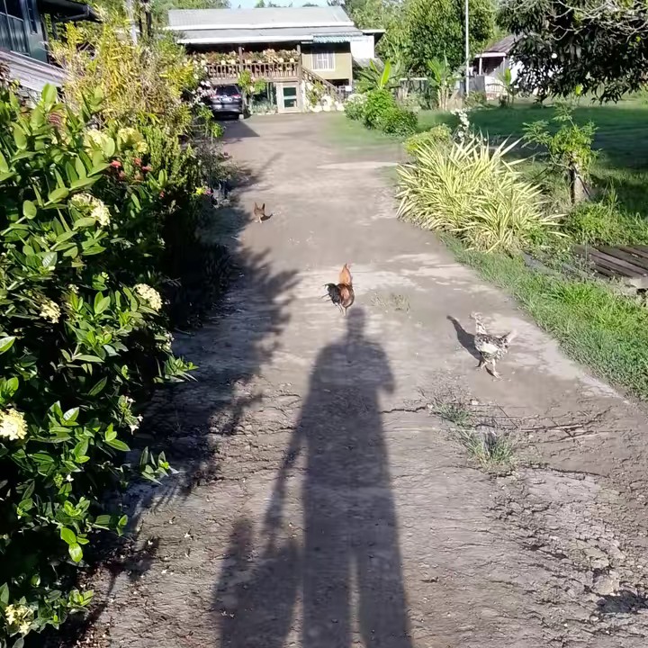 RoY_raenaldy®™👊