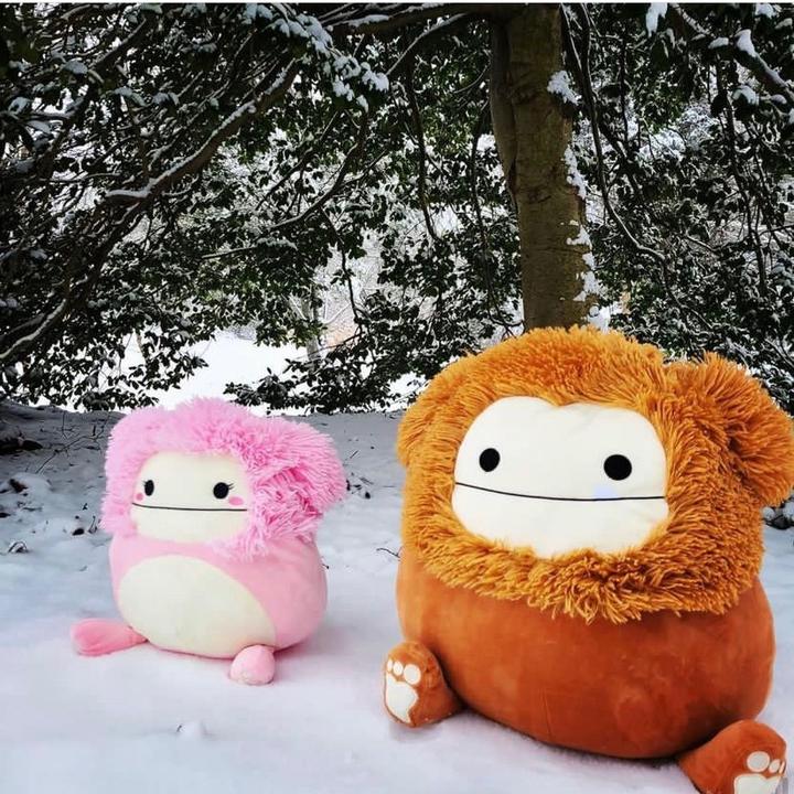 Chloe’s Squishmallows