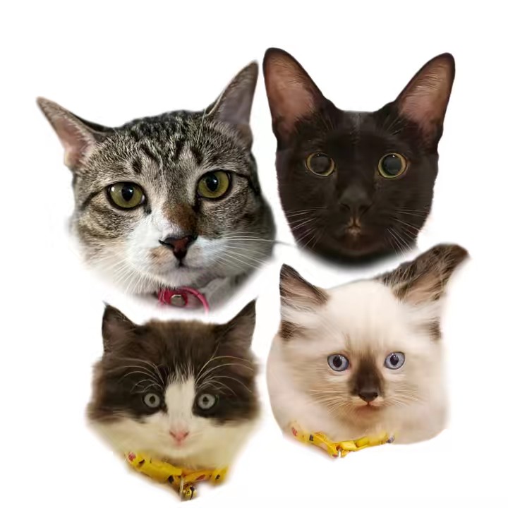 bebymiso.kuro.aiko.shiro