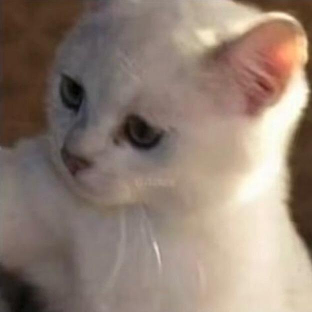 Kyra🐣🍫🐥🥚