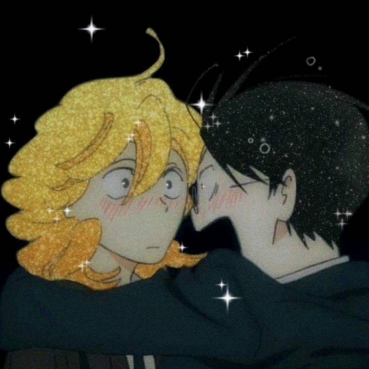 ⁺‧₊˚ ཐི⋆⚜⋆ཋྀ ˚₊‧⁺