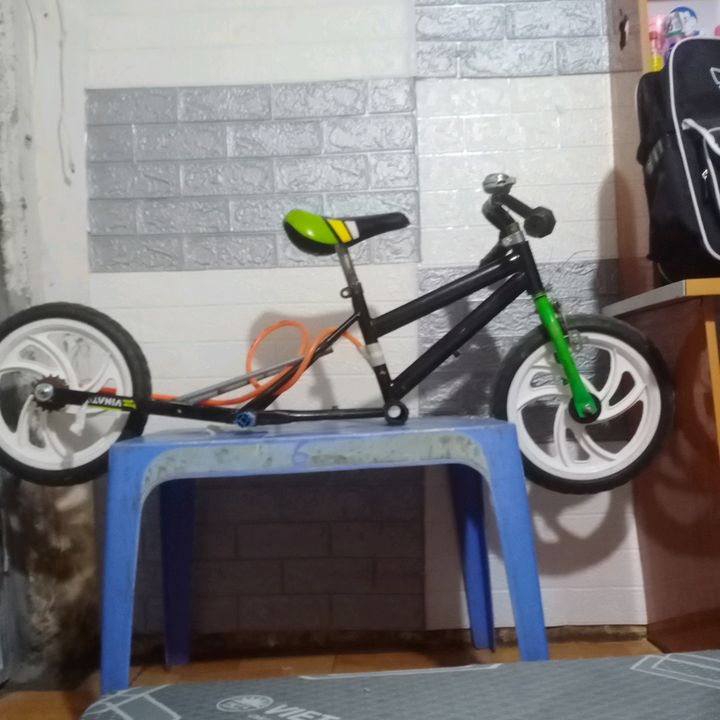 Nguyễn Chí Toàn xe độ lá sen