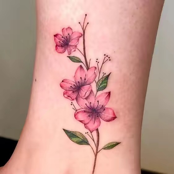 🌸Langga ROLYN🌸