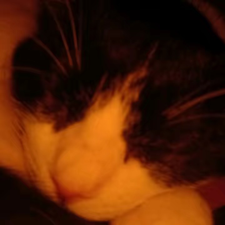 c٥ʷₚͦ៰ᷜ⍳٥ˢ