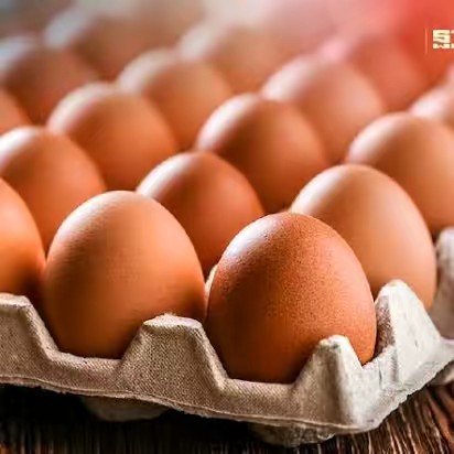 อาไข่ไก่