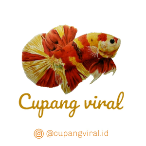 Cupang Viral